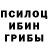 Псилоцибиновые грибы Psilocybe Shelah Ogletree