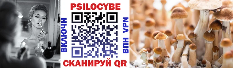 где купить наркоту OMG зеркало Галлюциногенные грибы GOLDEN TEACHER Родники