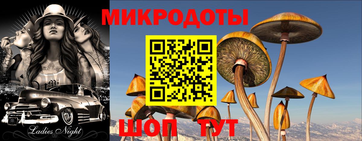 Псилоцибиновые грибы мицелий  Псилоцибиновые грибы GOLDEN TEACHER  Вход с VPN  Родники 