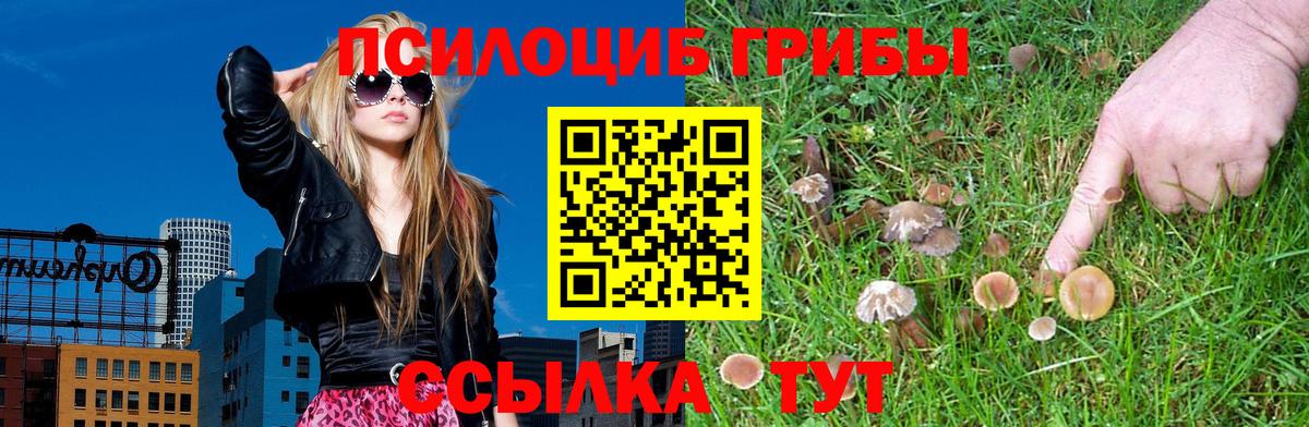 Галлюциногенные грибы MAGIC MUSHROOMS Родники