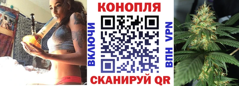 купить Родники Шишки марихуана THC 21%